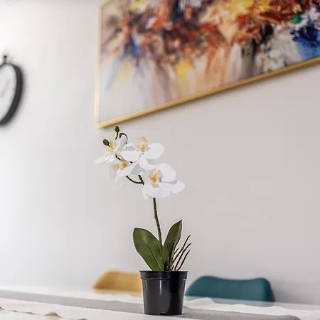 Apartment Disneyland Paris 6 Pers- Wifi - Tv Wifi, Parking *